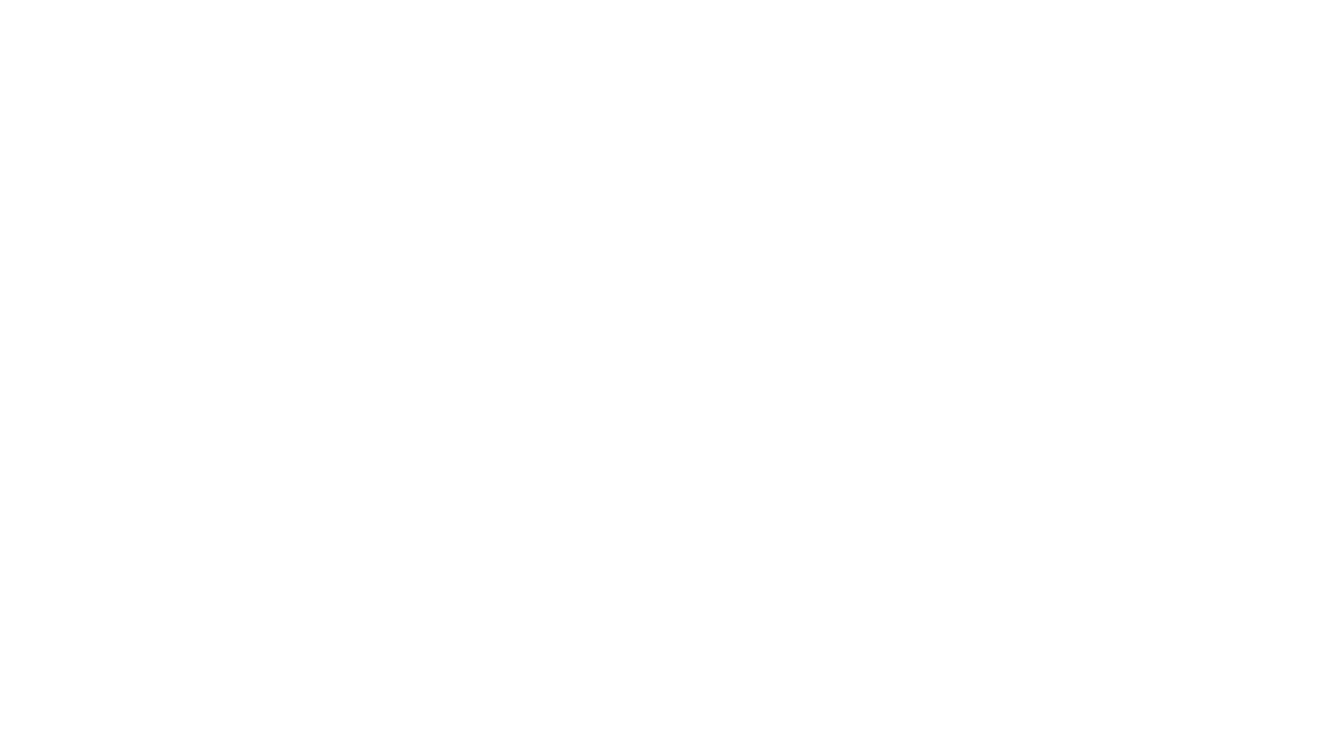 Satel